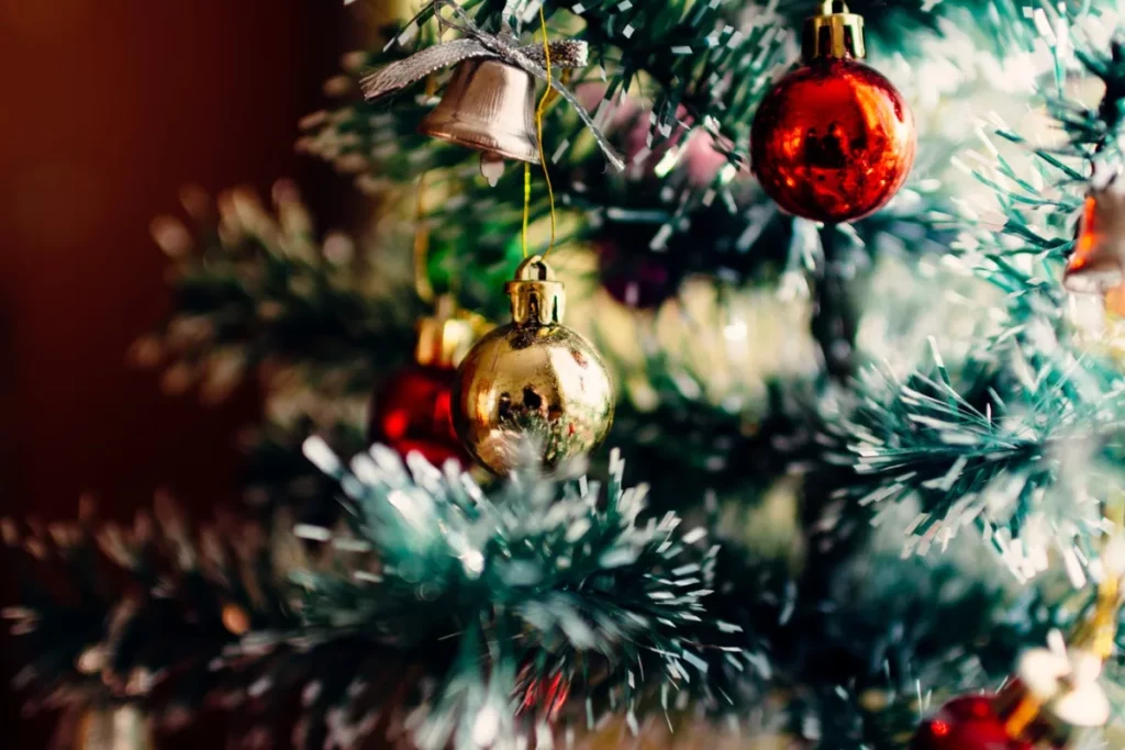 ¿Pensando en la cena de Navidad?